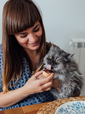 Woman feeding her puffy cat at the table.

