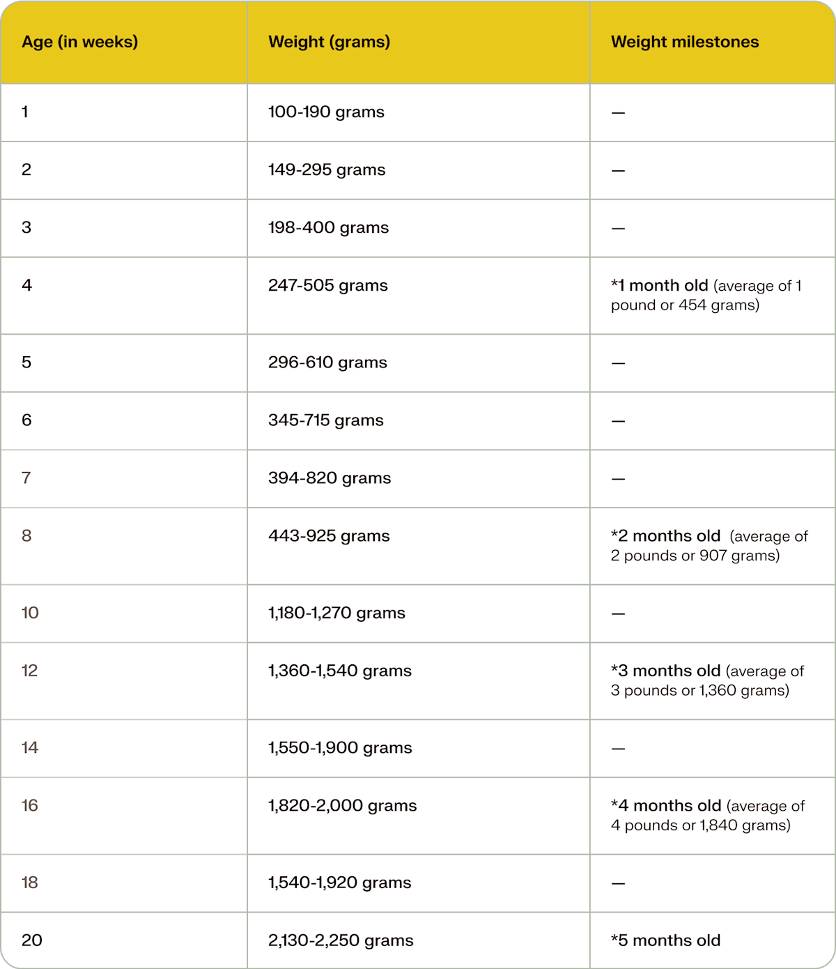 kitten weight chart