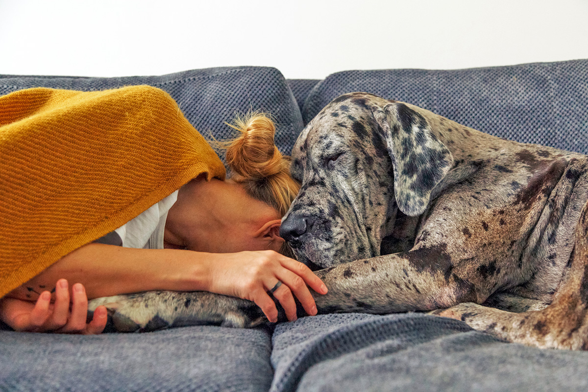 woman cuddling with Great Dane