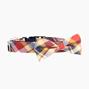 plaid bowtie collar