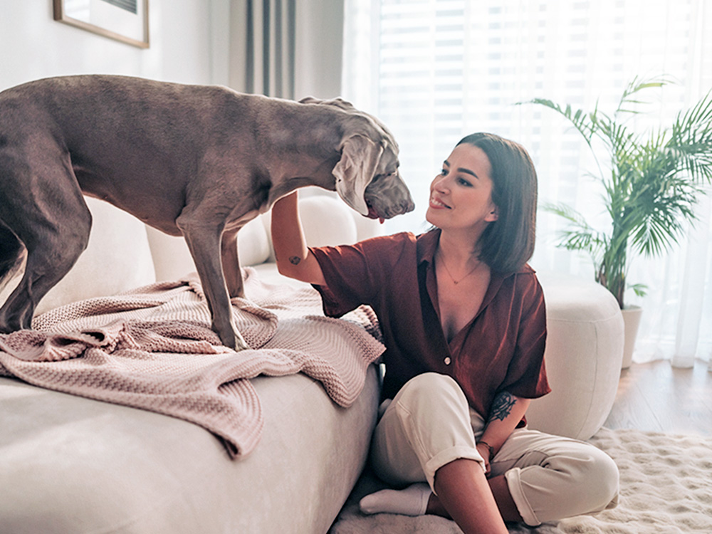 Woman having fun with her dog at home.