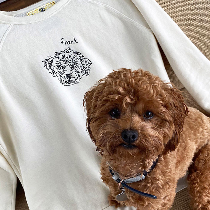 a dog in front of their pet portrait sweatshirt