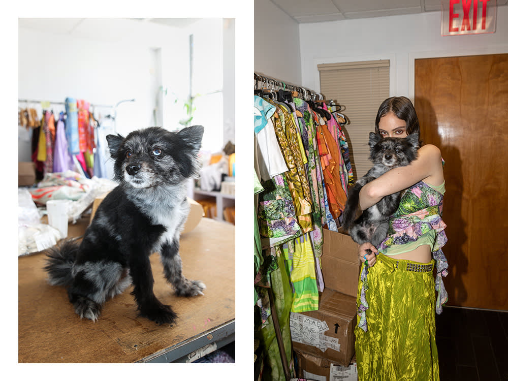 Hillary Taymour's small black dog; Hillary Taymour holding her dog 