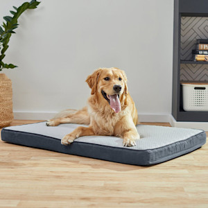 mat with golden retriever on top