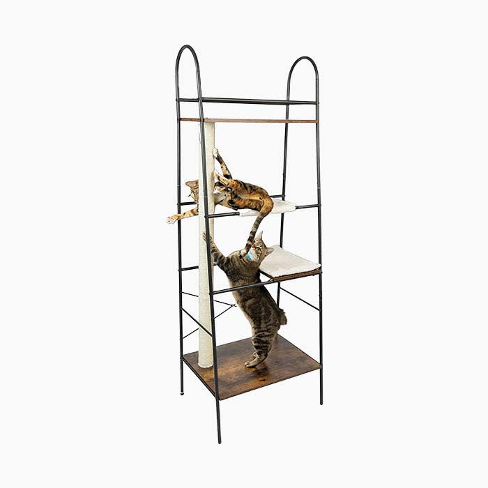 the cat shelving unit