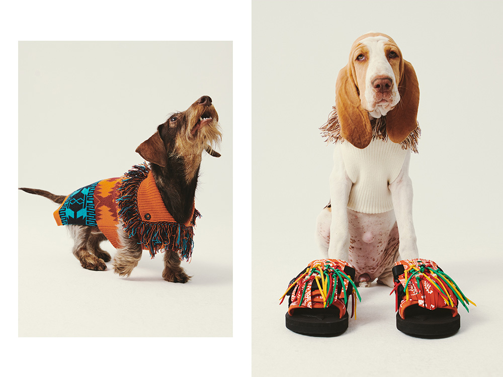 alanui x poldo dog couture 