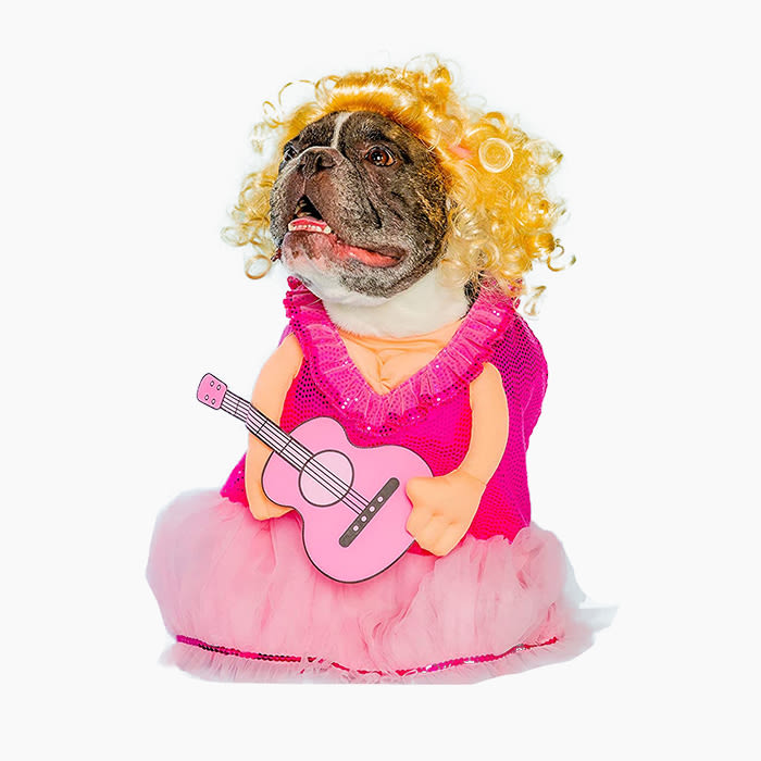 dog wearing pink dress and dolly parton wig 