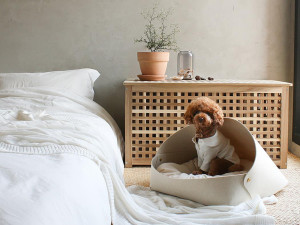 A dog sitting in a dog bed in a persons bedroom. 