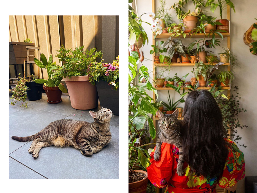 Phoebe Cheng and her cat, Pixel