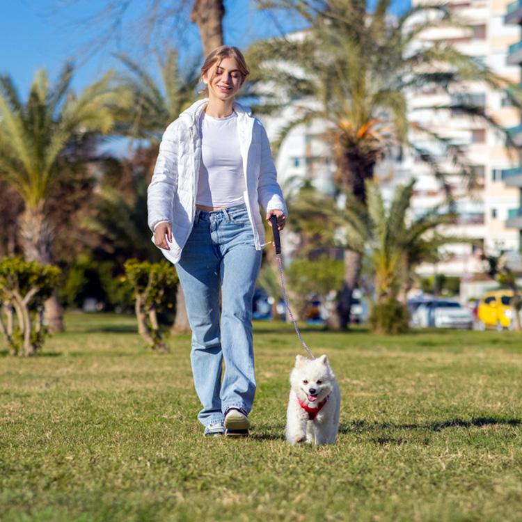 Woman walking her small white dog outside in the grass.