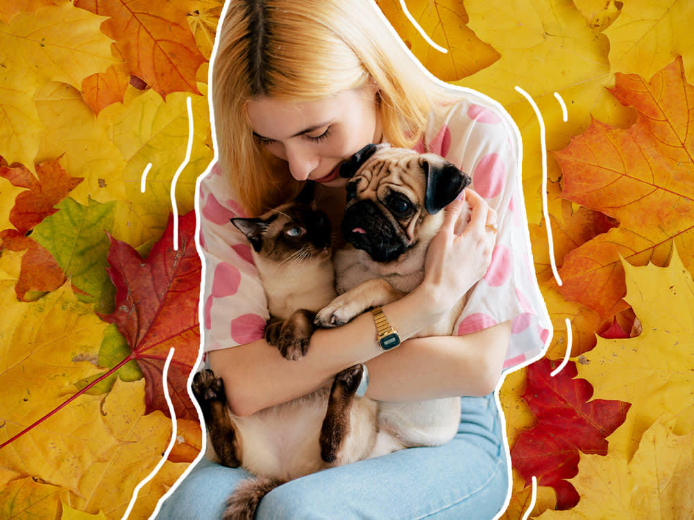 thanksgiving person hugging cat and dog
