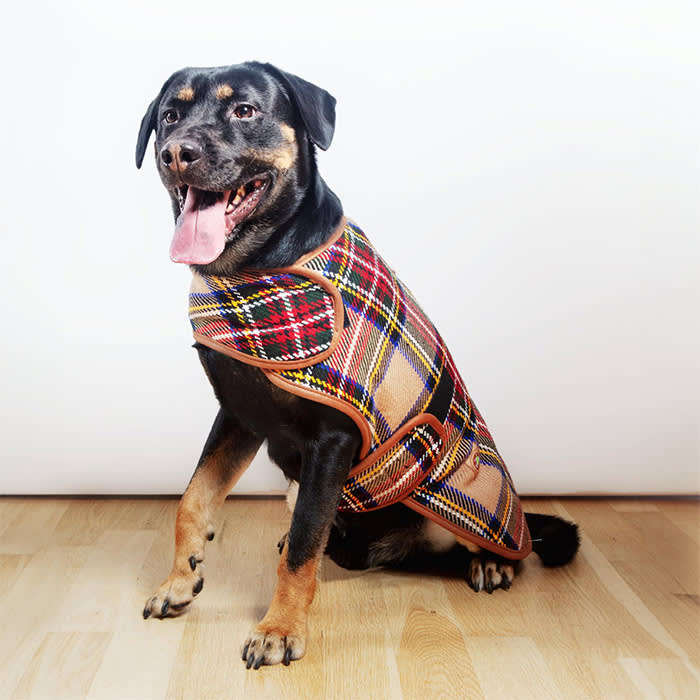 Chilly Dog Tan Tartan Plaid Dog Coat