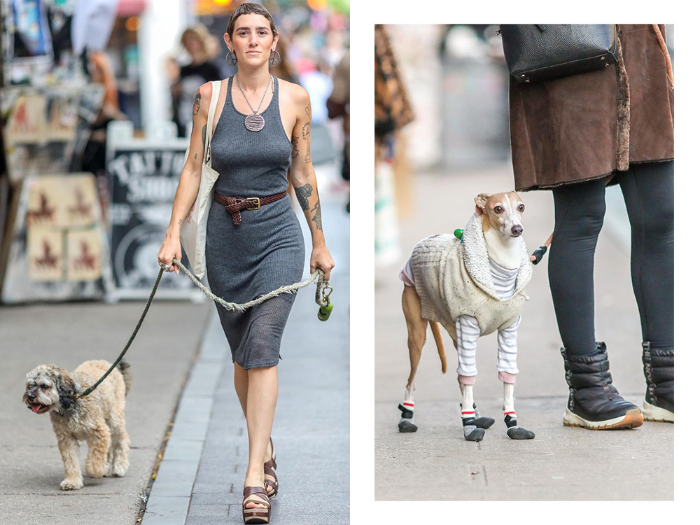 watching new york street style with dogs