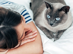 Woman looking at her gray cat on the bed.