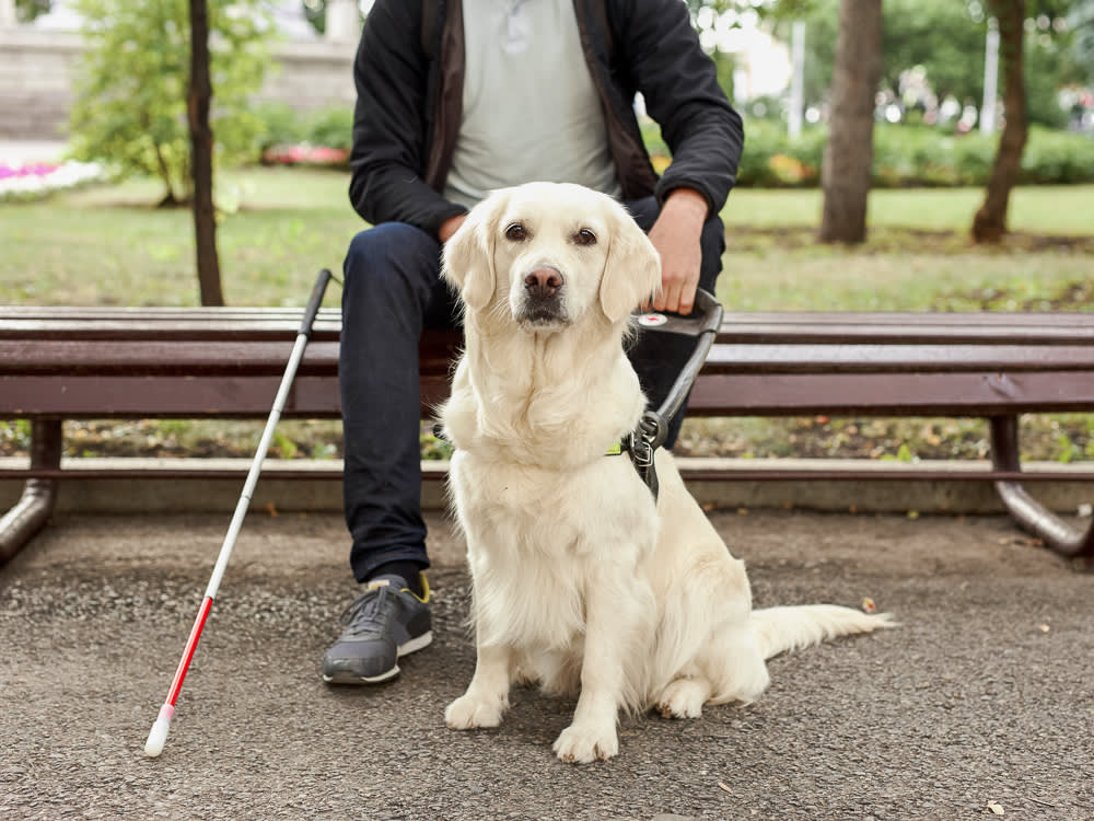 Unrecognizable man sitting on a park bench with his service dog