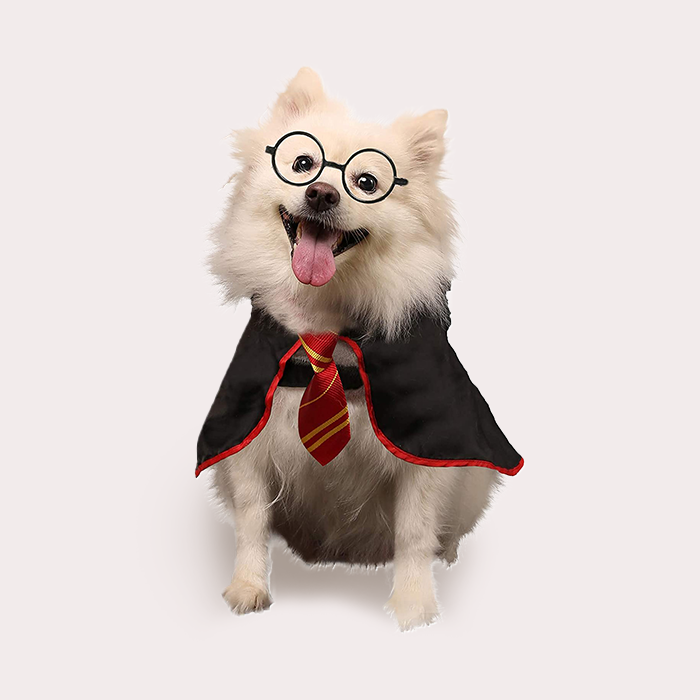 Harry Potter costume for dogs