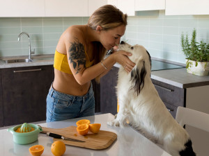 Woman Playing With The Dog In The Kitchen, While Preparing Orange Juice.