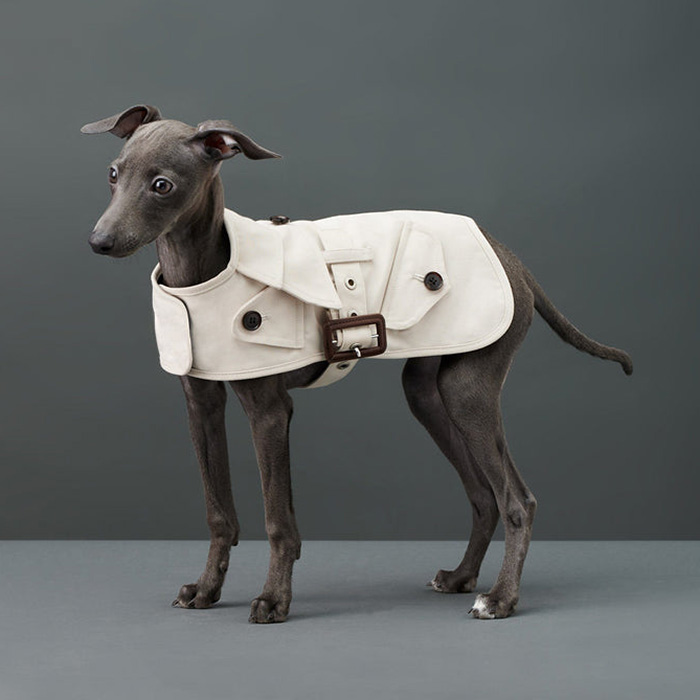 The Barkers Trench Coat