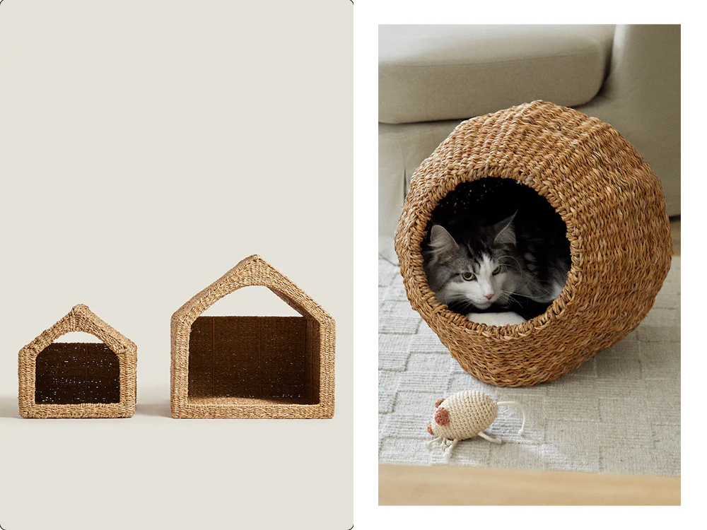 a Zara dog bed; a cat in a Zara cat bed with a toy mouse