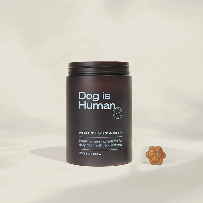 dog is human supplements in brown jar with blue lettering