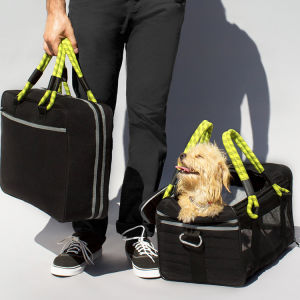 a dog in a black carrier 