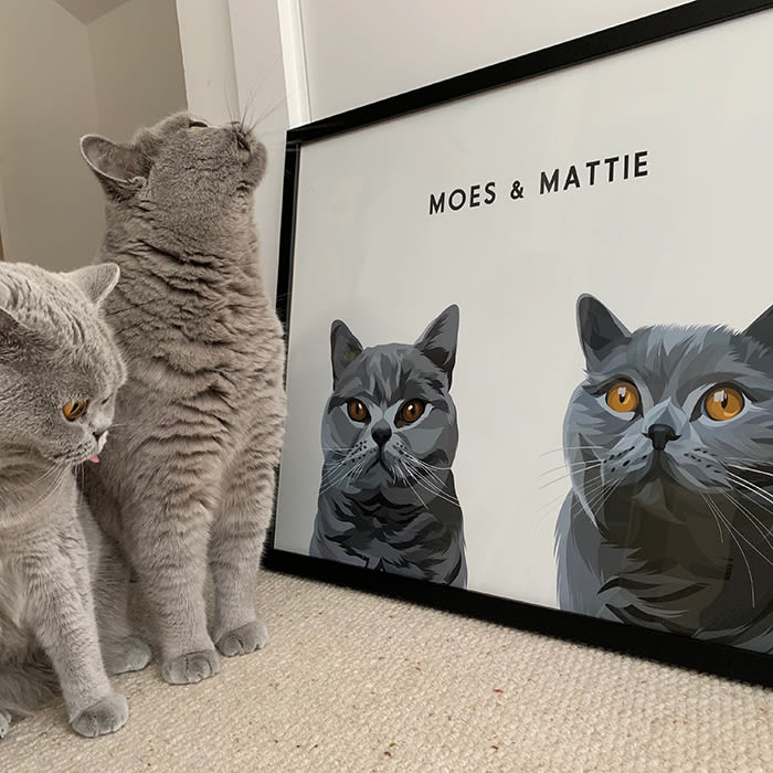 two cats together in portrait form