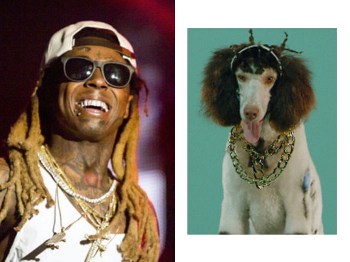 Lil Wayne and a dog styled to look like him
