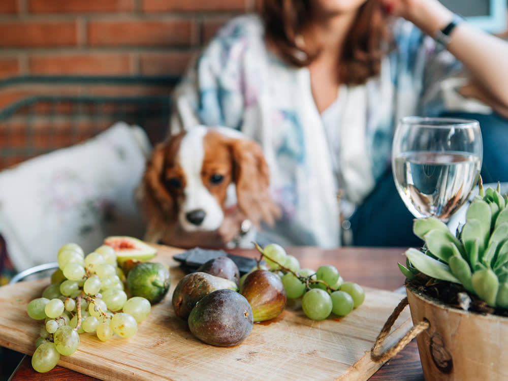 Wooden table of autumn fruits and grapes, with a woman and a cute dog seated at it.
