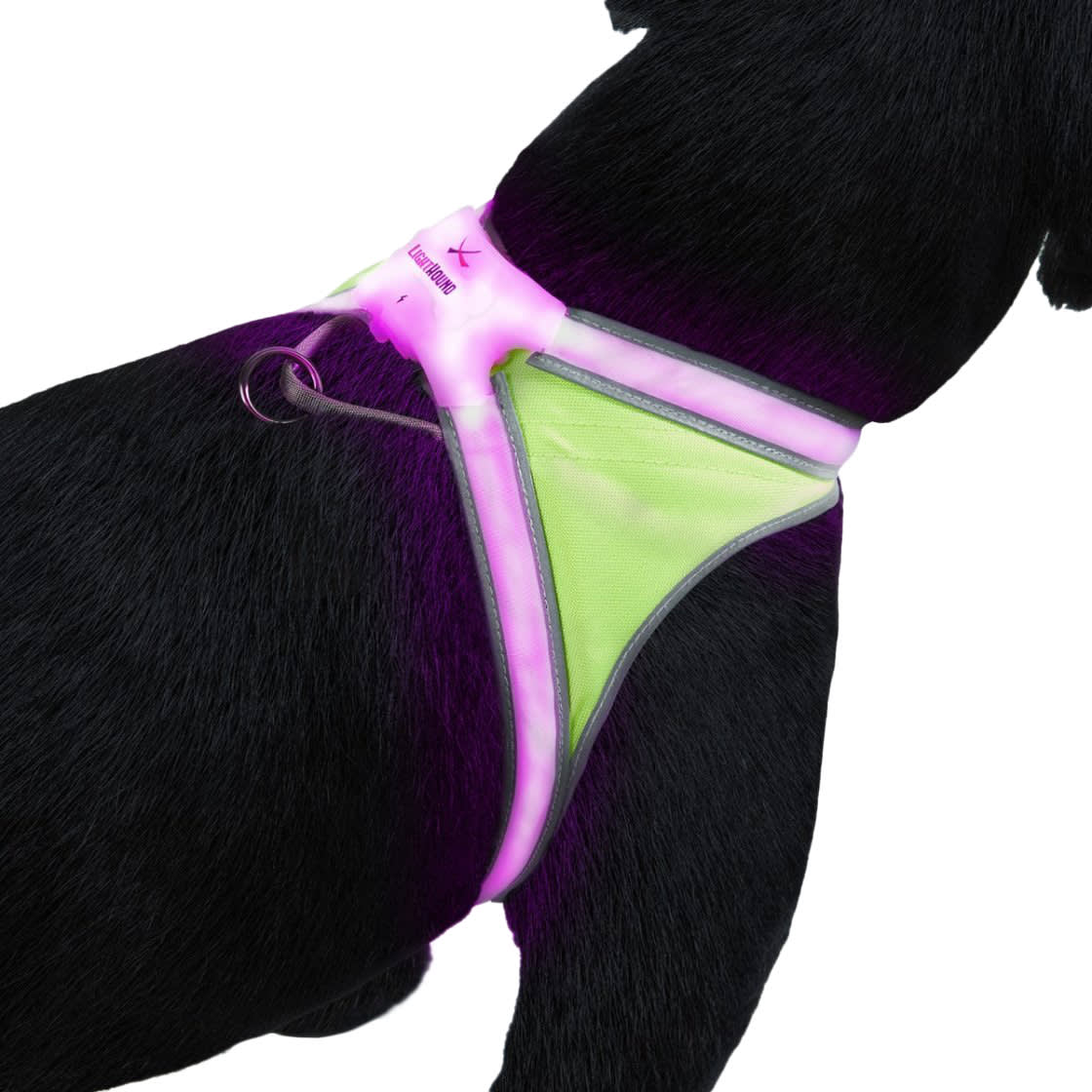 noxgear reflective harness