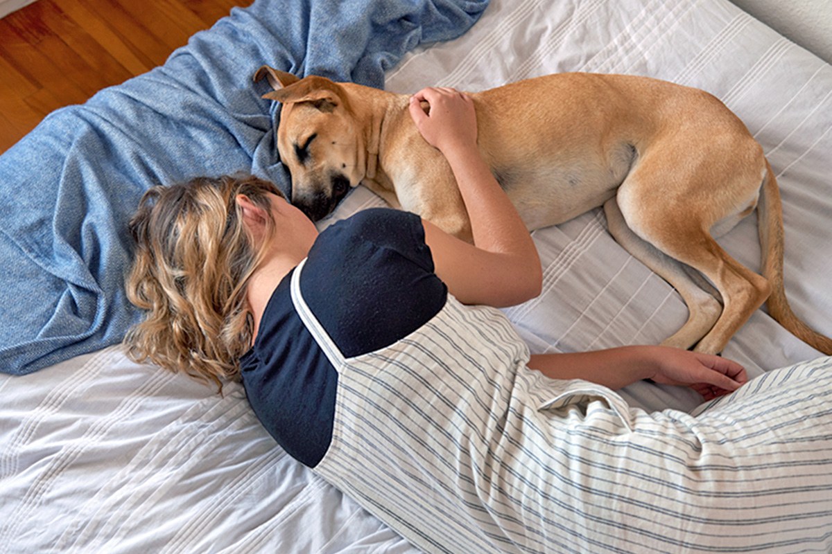Dog sleeping in bed with a person