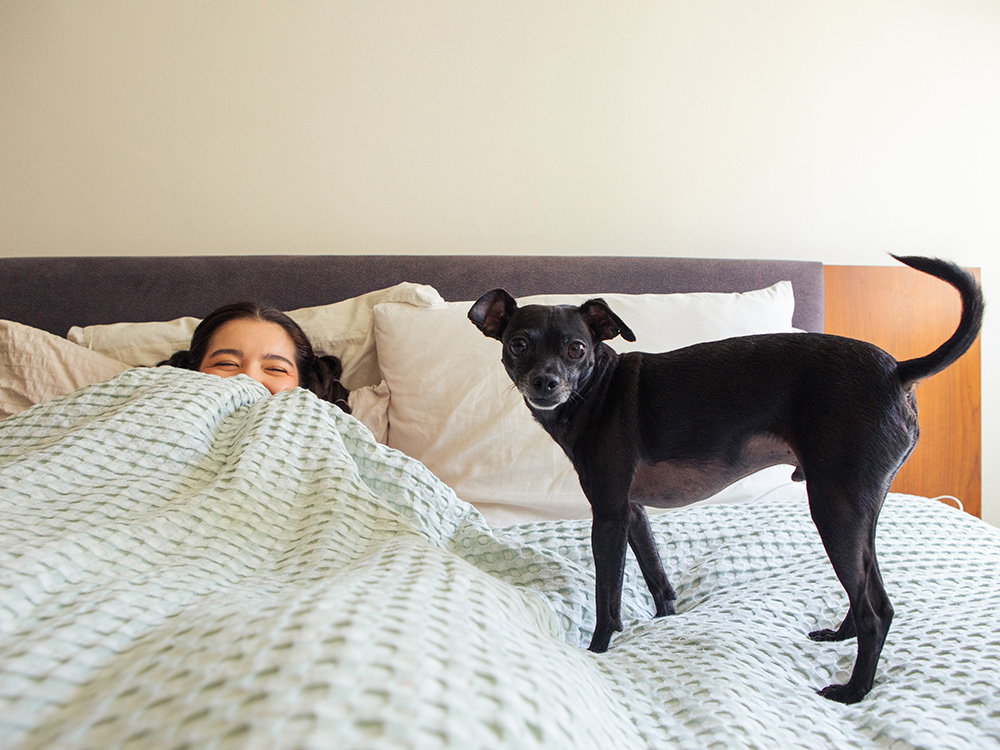 Arabelle Sicardi peeks out from under the sheets with Titan standing by.
