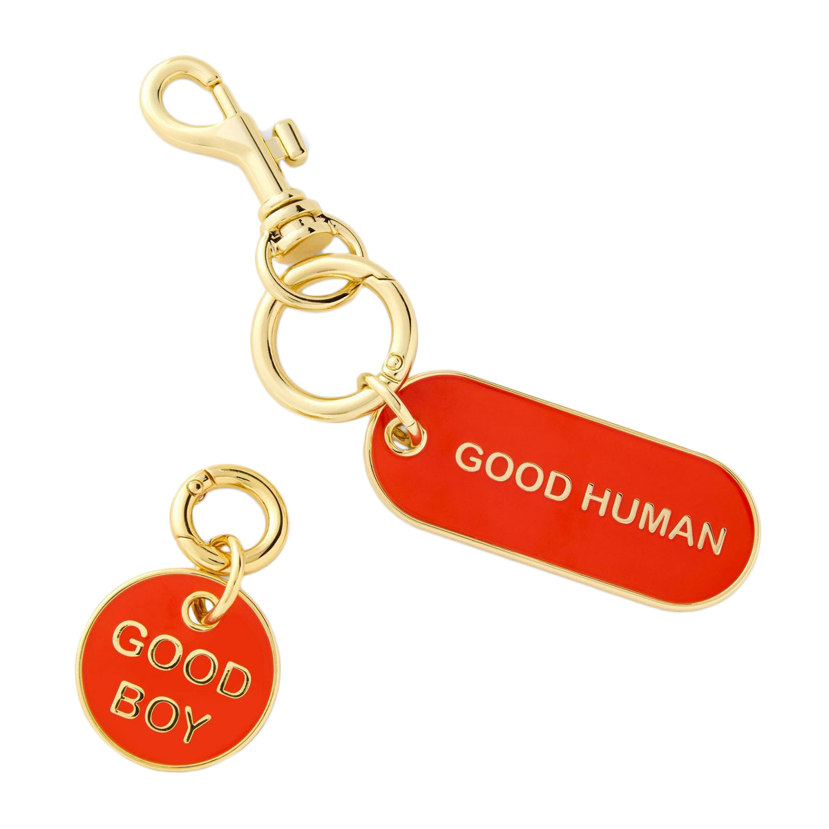 Good human and good boy keychain and tag