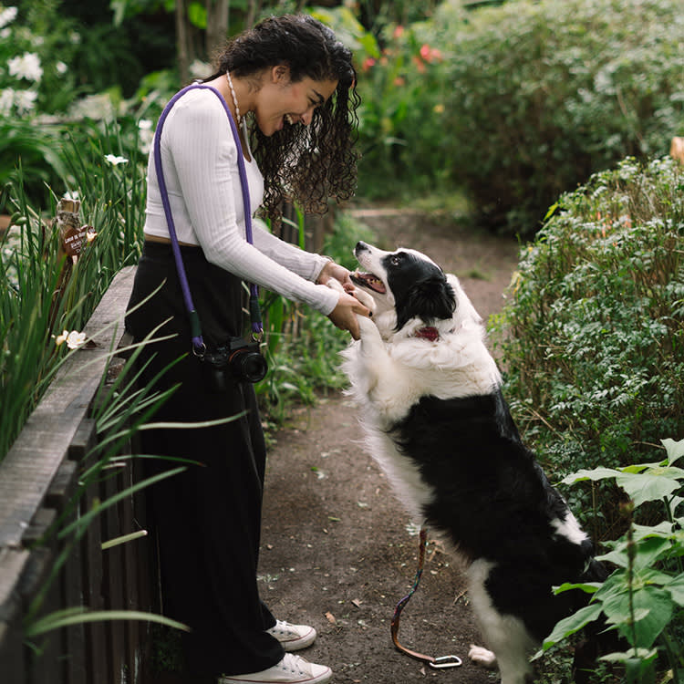Young Latina Woman Enjoying The Companionship Of Her Dog In A Garden.