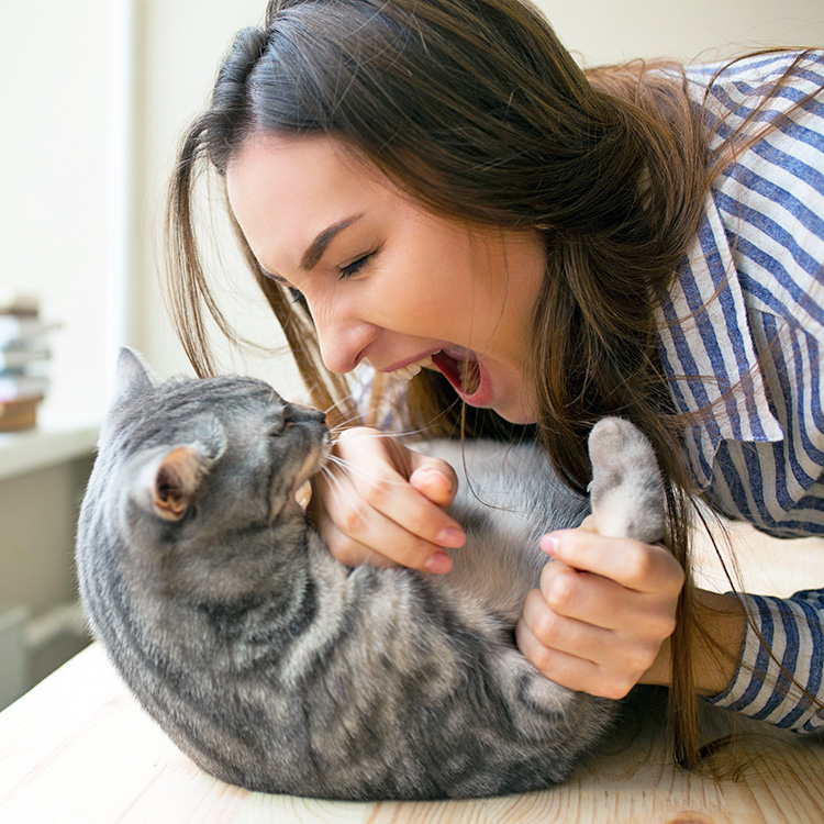 Woman tickling her cat at home.