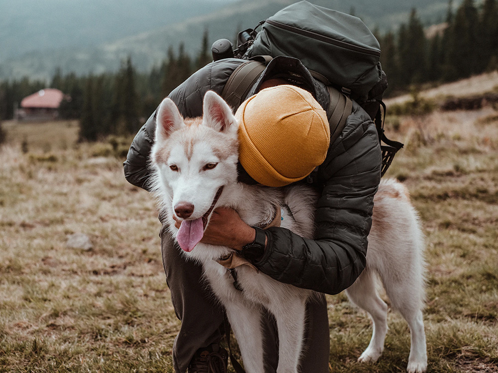 A man outside in a mountainous setting is hugging a husky.