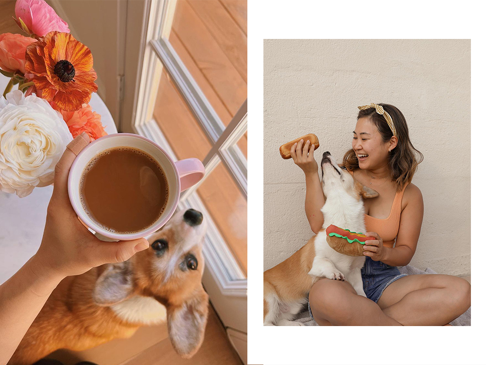 Minna Lee holds a cup of coffee above her corgi; Minna Lee sits with her corgi 