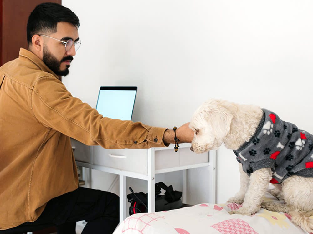 Man comforting his white dog at home.