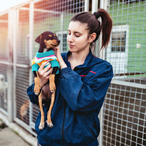 Woman working at a dog shelter.