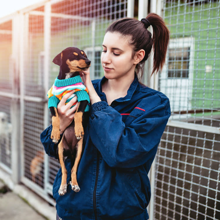 Woman working at a dog shelter.