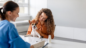 a smiling vet with brown hair writes notes talking to a woman with brown hair holding a small jack russell