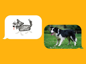A photo of a dog and a similar illustration of a dog placed on a yellow background. 