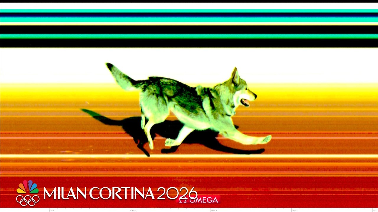 Very Good Dog Crashes Olympic Cross-Country Skiing Event 