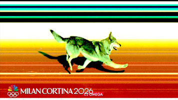 Very Good Dog Crashes Olympic Cross-Country Skiing Event