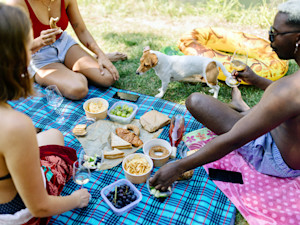 group of three people and a dog gather round food on a picnic blanket on grass