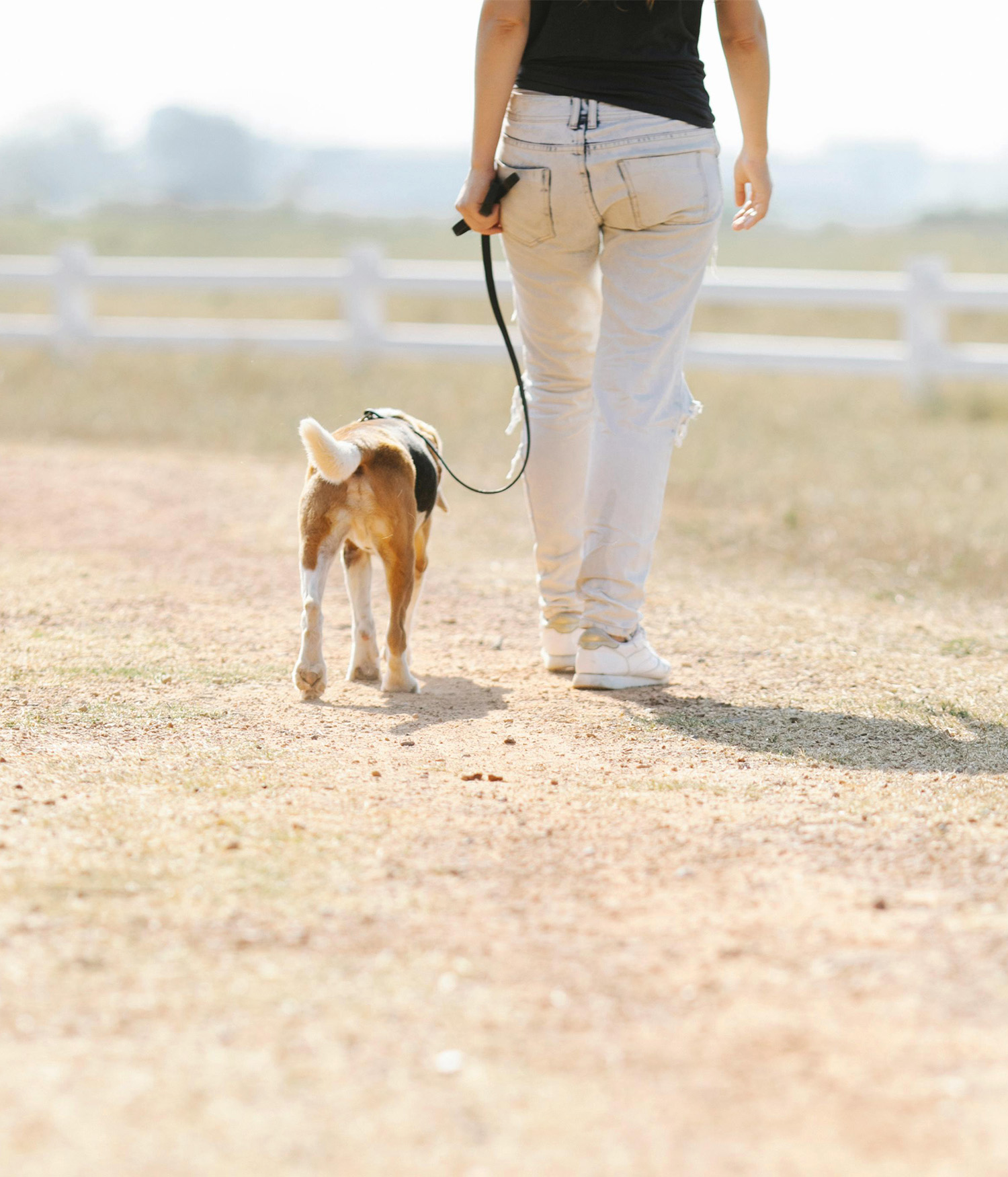 a rear view image of a  person walking their dog along a sandy track