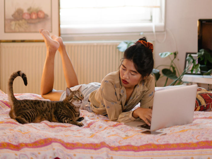 Woman using a laptop in bed, looking at her cat