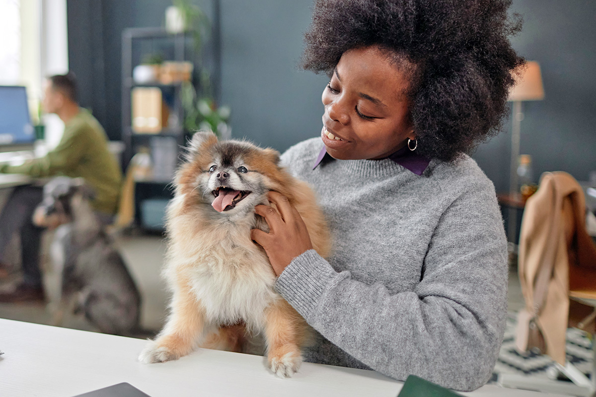 Person with a Pomeranian 