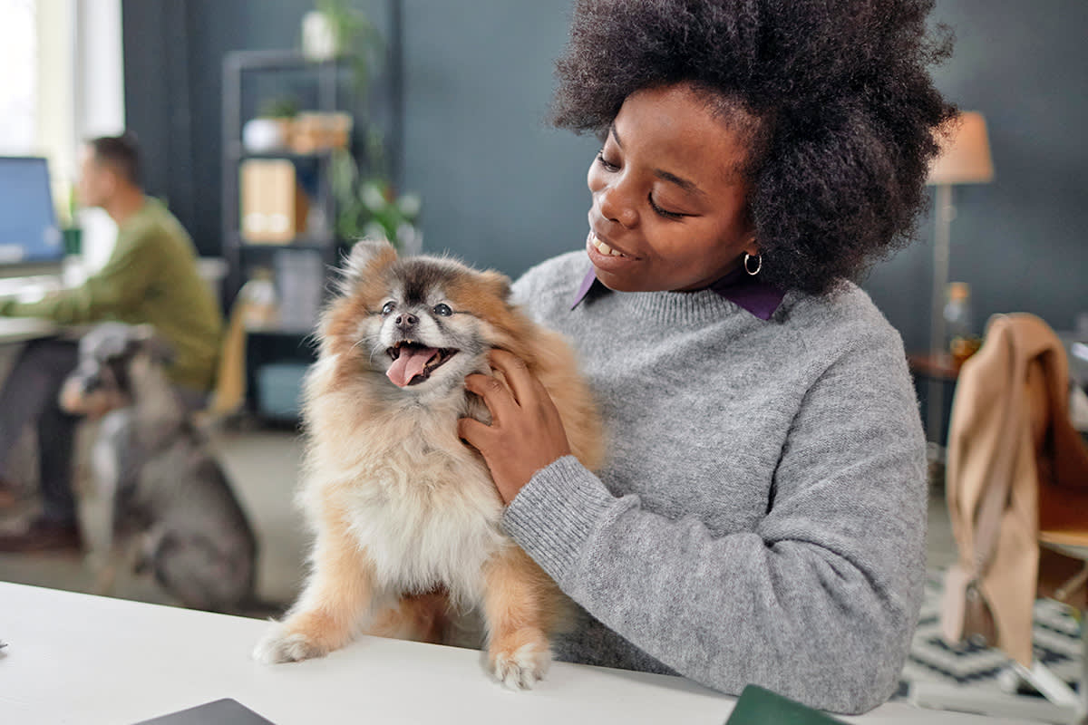 Person with a Pomeranian