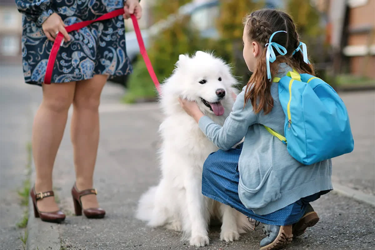 little girl with a backpack on greets a dog