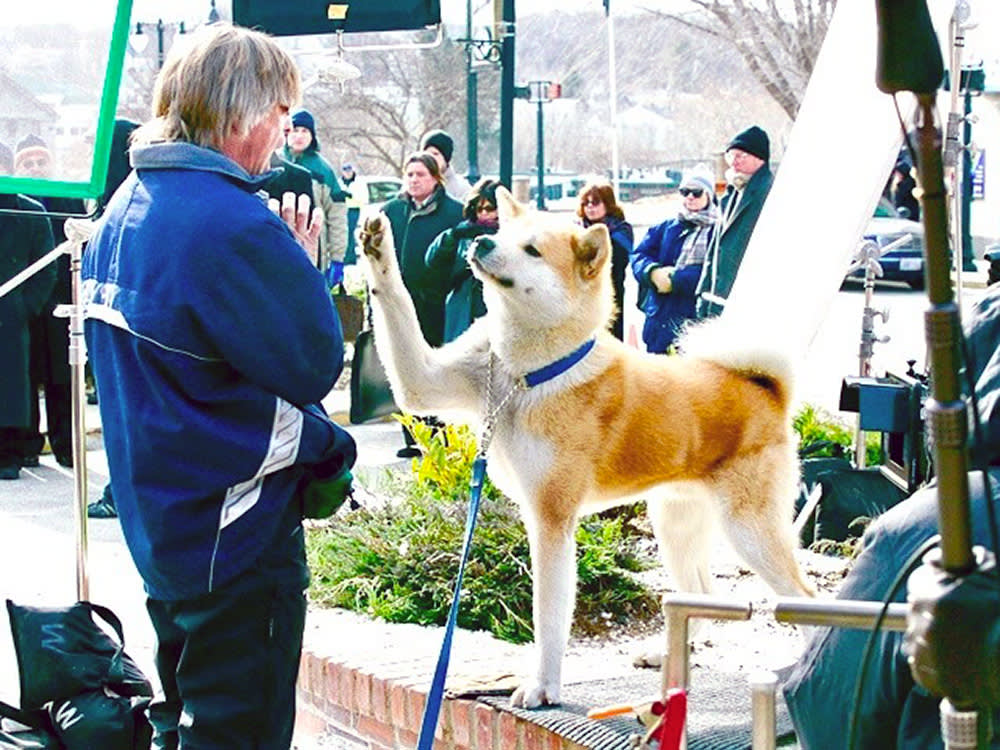 the dog in Hachi gets trained off-camera
